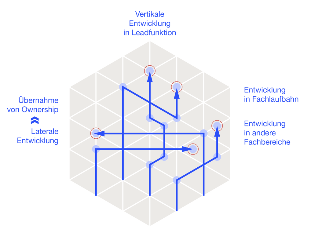 grafik_career_lattice grafik_career_lattice