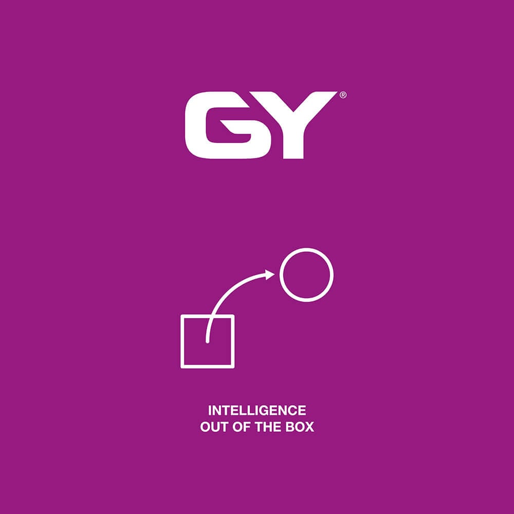 gy-intelligenz-wilken
